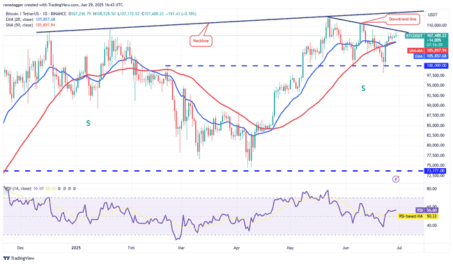 比特币冲击新高！山寨币狂欢季能否引爆？