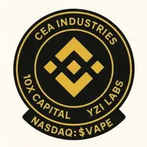 华人首富的BNB财库，暴涨600%后还能继续印钞吗？