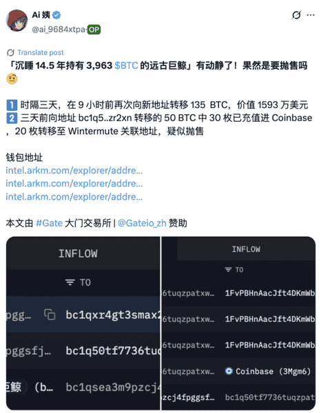 比特币惊现巨鲸异动！Galaxy Digital狂抛3700枚，14年沉睡巨鲸也醒了，市场要变盘？