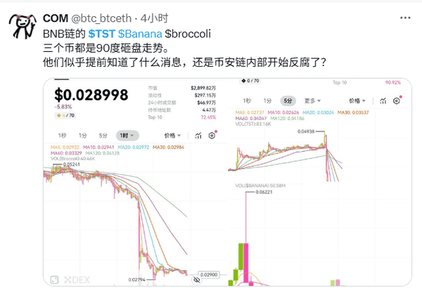 TST死亡螺旋：多头爆仓背后的惊天内幕