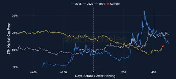比特币“霸权”持续：减半后山寨币集体低迷的原因解析？