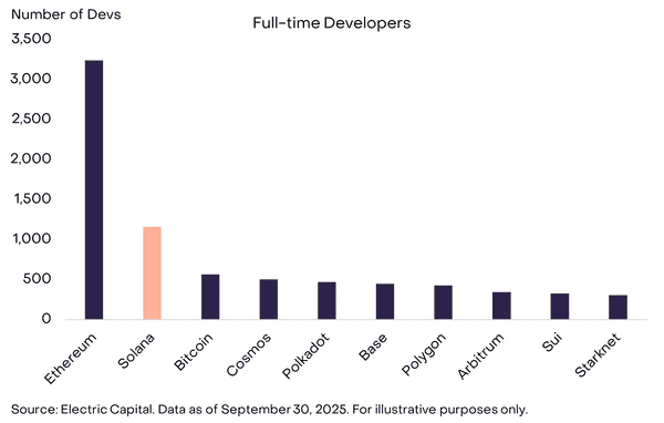 SOL 复苏：加密市场的新星崛起！