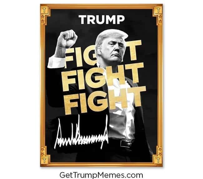 川普迷因币$TRUMP：幽默背后的经济学效应与市场动态