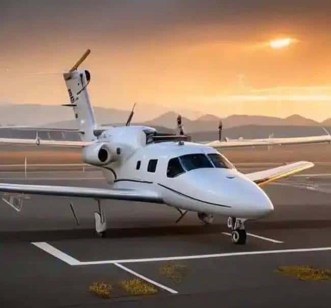 特朗普币引爆市场，探索牛马人生的财富密码