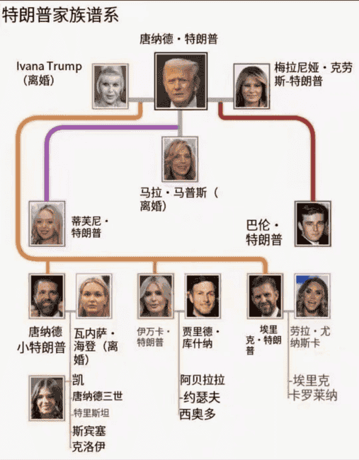 特朗普币飙升，第一夫人紧跟推出加密货币：总统效应引发市场狂热？