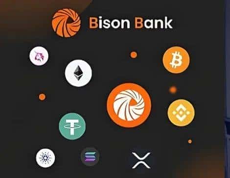 欧洲Bison银行：法币与加密货币自由兑换，个人企业开户无忧！