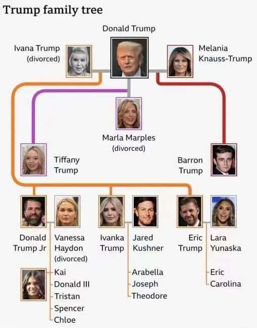 特朗普发币对比特币影响几何？家族成员会否跟风发行代币引热议