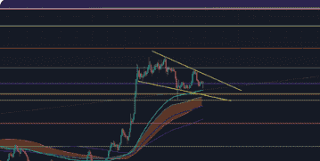狗狗币DOGE踏上疯狂牛市征途，剑指20美元新高地！