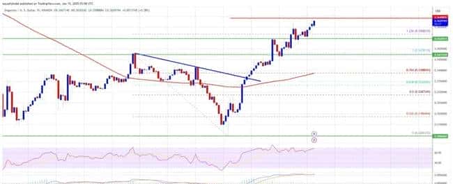 狗狗币DOGE站稳脚跟，牛市信号再现，传奇能否续写？
