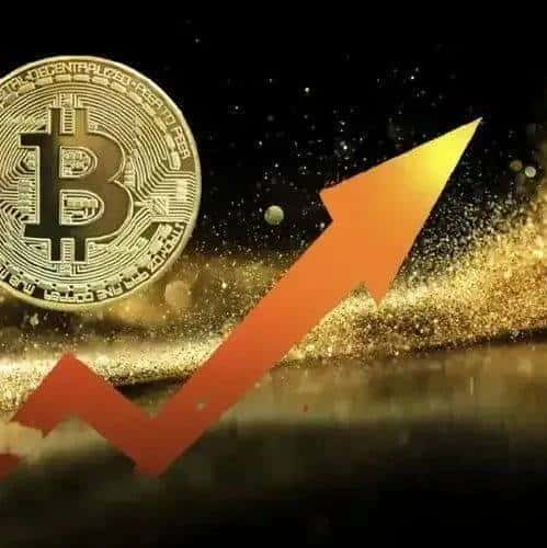 2024年币圈热门趋势：Memecoin引领风潮！