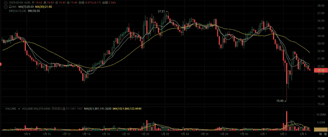 2月加密市场爆发！这4种山寨币涨幅惊人，牛市是否已来临？