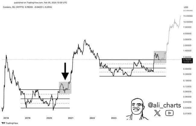 加密市场动荡不安！ADA能否逆势飞扬？关键因素全解析！