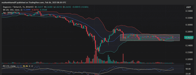 狗狗币盘整期如何突破？这一群体成为关键推动力！