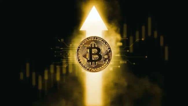 山寨币市场复苏关键：这些时间点的事件不容错过！