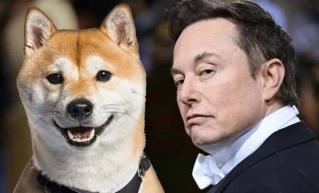 狗狗币（$DOGE）价格走势分析：未来前景展望