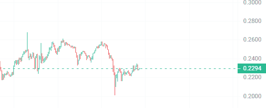 山寨币牛市潜力股：利润暴增100倍，你抓住机遇了吗？