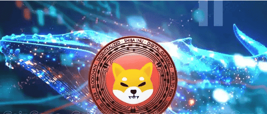 柴犬币SHIB暴涨60倍，你抓住这波行情了吗？