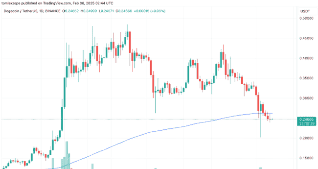 狗狗币暴跌25%！大额交易骤减，未来能否迎来翻身之机？
