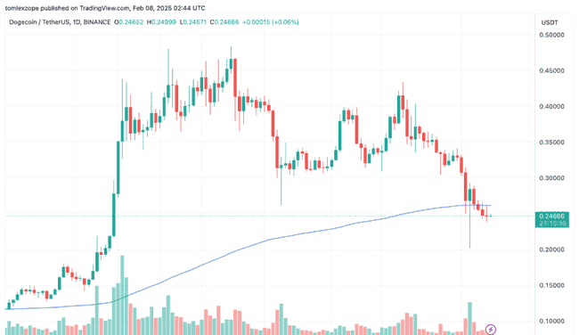 狗狗币（DOGE）鲸鱼交易量剧减70%：十万美元大单神秘消失之谜