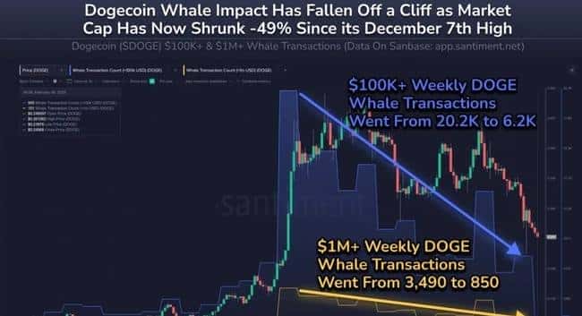 狗狗币(DOGE)鲸鱼交易量剧减70%:十万美元大单神秘消失之谜