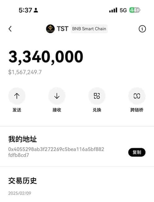 币安CZ缔造传奇：3天狂涨12749倍，揭秘TST神话的财富密钥！