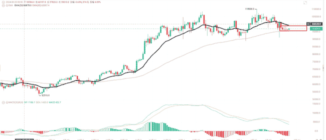 山寨币惨遭滑铁卢，暴跌90%！牛市为何无力回天？