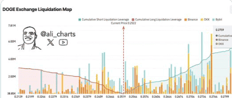 狗狗币（DOGE）有望迎来11%涨幅，关键指标指向0.276美元新高度