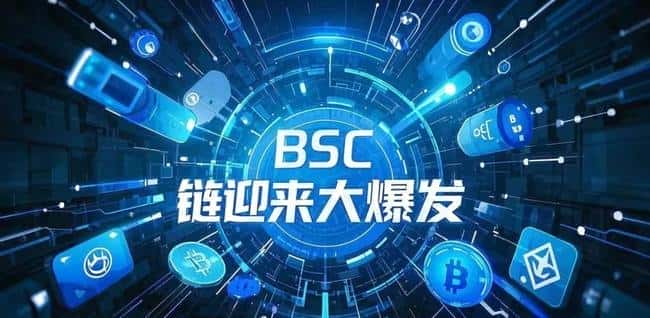 币安系Meme币火爆BSC生态，投资机遇与策略全解析