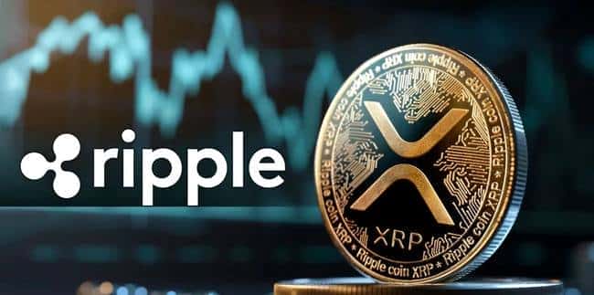 2025年币圈百倍潜力币预测:颠覆认知的三大黑马币种揭秘!