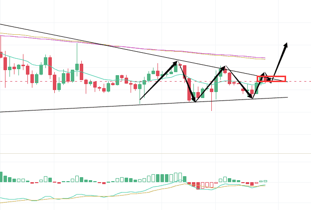 全网热议金狗币：币圈大事件中的新兴投资机会