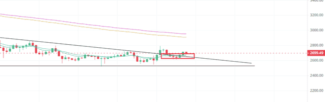 全网热议金狗币：币圈大事件中的新兴投资机会