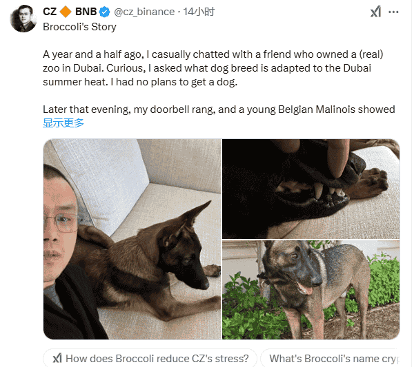 全网热议金狗币：币圈大事件中的新兴投资机会