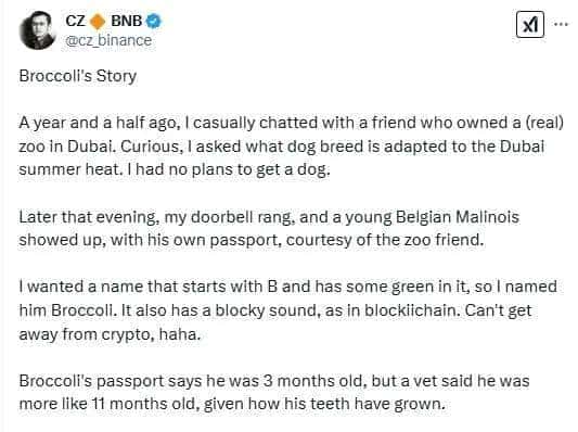 币圈震撼！特朗普与昔日华人首富引爆黑天鹅事件，市场风云再起