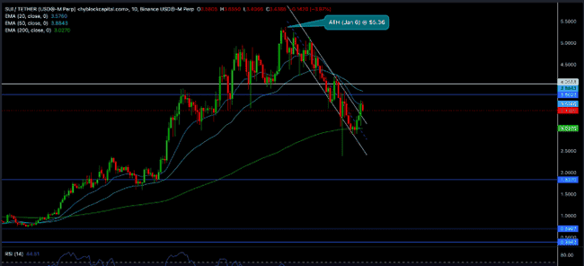 2月必抢！三大顶级山寨币投资指南
