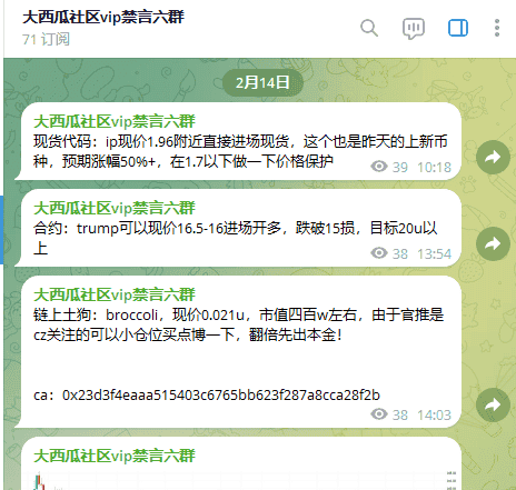 总统币热潮:TRUMP到LIBRA,暴富梦碎与血泪教训警示录
