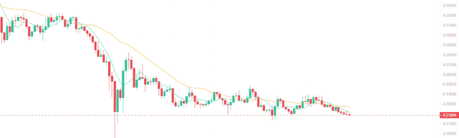 币圈牛市是否可期？三种山寨币后市涨幅或超10倍，值得关注！