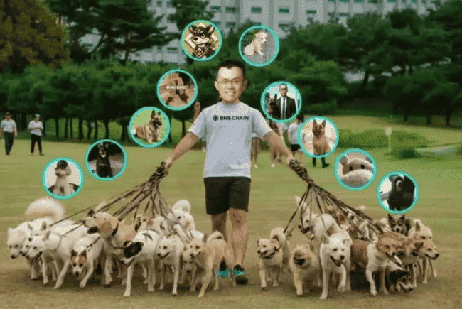 币圈传奇：宠物狗Broccoli代币狂涨近万倍，创始人狂揽672万美元！