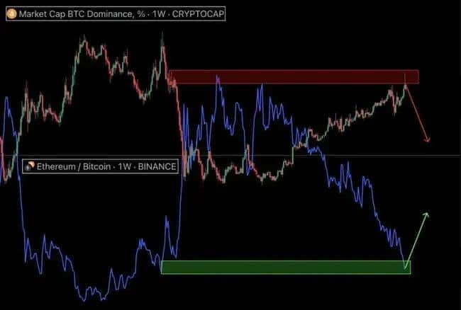 总统币骗局频发，市场触底反弹机遇何在？