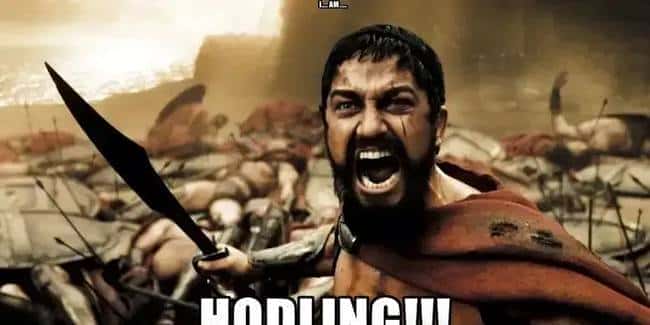 总统币骗局频发，市场触底反弹机遇何在？