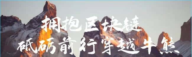 PI派币(PiNetwork):从资金盘到注意力盘的范式革新