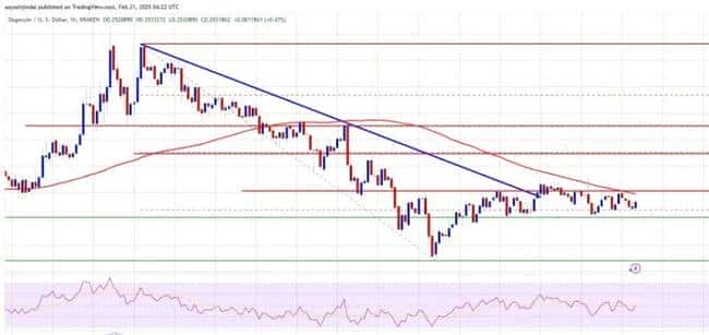 狗狗币(DOGE)持平:突破在即还是即将崩盘?