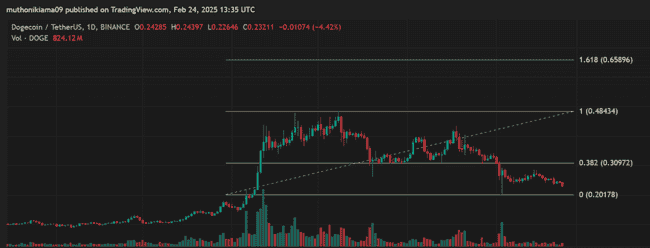 2021年狗狗币价格走势复盘:5美元目标能否实现?