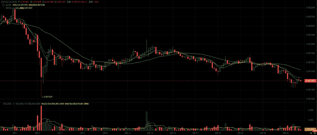 四种山寨币见底信号明显,埋伏布局反弹潜力可达百倍!