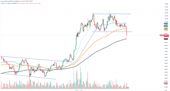 币圈风暴!比特币暴跌至年度新低,柴犬币暴跌加剧,Solana跌破百元大关