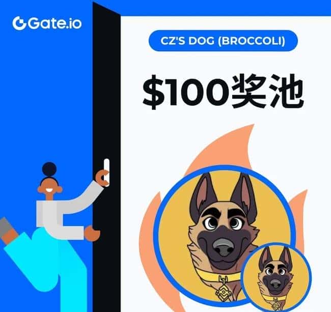 币圈新手宝典：从套牢学习到稳健投资的必备工具指南