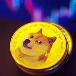 狗狗币二月面临考验，0.20美元关键支撑能否坚守？