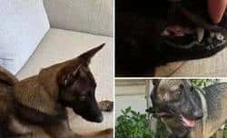 币圈震撼！特朗普与昔日华人首富引爆黑天鹅事件，市场风云再起