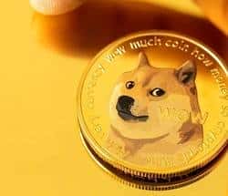 狗狗币购买良机？当前市场趋势下深度评估其潜力！