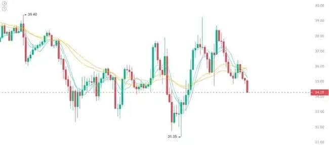 币圈绝境求生？周末市场波动预警！布局这4种山寨币，涨幅潜力达10倍！
