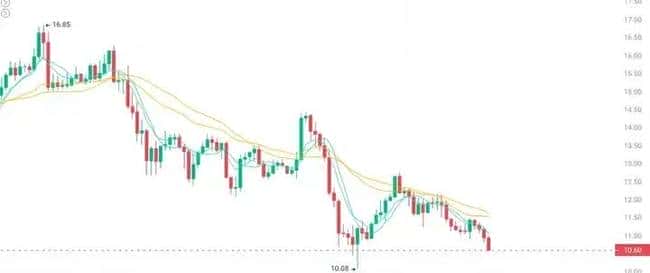 币圈绝境求生？周末市场波动预警！布局这4种山寨币，涨幅潜力达10倍！